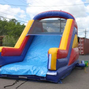 12' Dual Lane Slide With Removable Pool