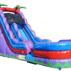 19' Purple Slide